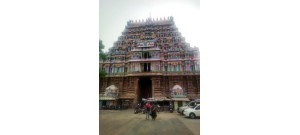 நிலம்- திருவாரூர்